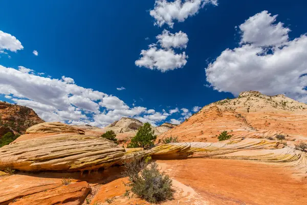 Kırmızı kaya oluşumları ile güzel sahne Zion National Park