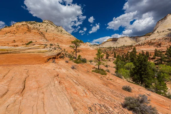 Kırmızı kaya oluşumları ile güzel sahne Zion National Park
