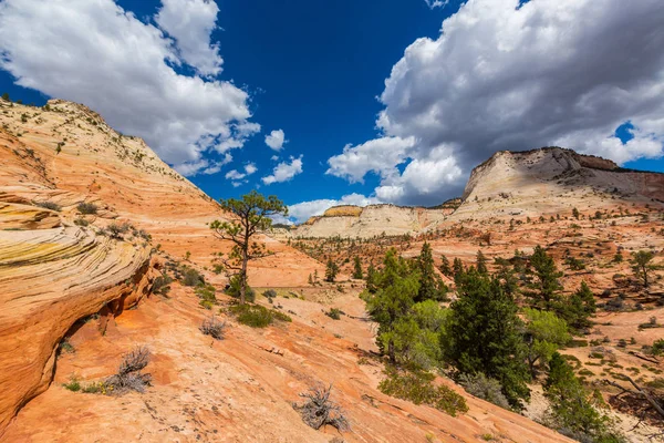Kırmızı kaya oluşumları ile güzel sahne Zion National Park
