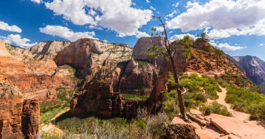Angel'ın sahne Zion National Park, Utah, parlak bir sonbahar gün açılış.