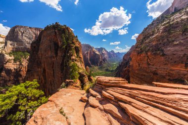 Angel'ın sahne Zion National Park, Utah, parlak bir sonbahar gün açılış.