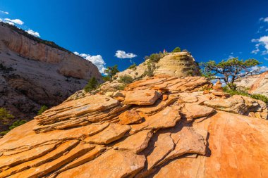 Angel'ın sahne Zion National Park, Utah, parlak bir sonbahar gün açılış.