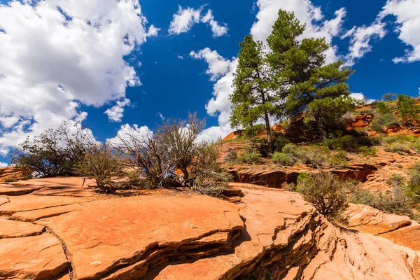 Angel Landing Landschap Zion National Park Utah Een Heldere Herfstdag — Stockfoto