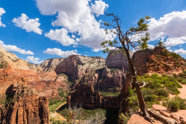Angel'ın sahne Zion National Park, Utah, parlak bir sonbahar gün açılış.