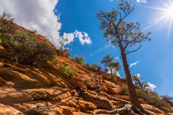 Angel Landing Scenerii Parku Narodowego Zion Utah Jasny Jesienny Dzień — Zdjęcie stockowe