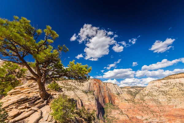 Angel'ın sahne Zion National Park, Utah, parlak bir sonbahar gün açılış.