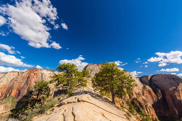 Angel'ın sahne Zion National Park, Utah, parlak bir sonbahar gün açılış.