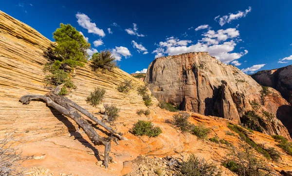 Paisagem Desembarque Anjo Parque Nacional Zion Utah Dia Brilhante Outono — Fotografia de Stock