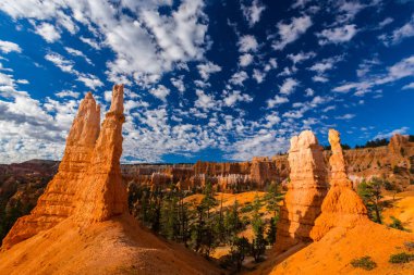 Bryce Canyon peyzaj, sıcak gündoğumu ışık altında