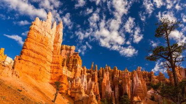 Bryce Canyon peyzaj, sıcak gündoğumu ışık altında
