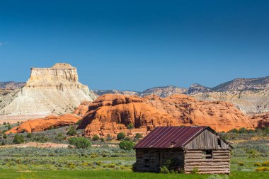 Sonbahar sahne Büyük Kanyon Ulusal Parkı