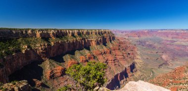 Sonbahar sahne Büyük Kanyon Ulusal Parkı