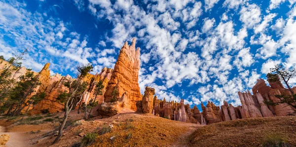 Bryce Canyon táj, meleg sunrise fényben — Stock Fotó