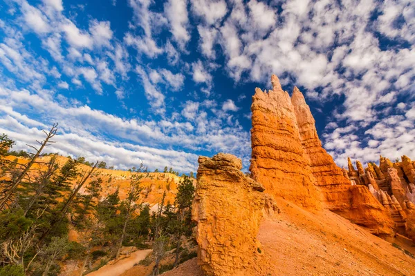 Bryce Canyon τοπίο, κάτω από το ζεστό Ανατολή ηλίου φως — Φωτογραφία Αρχείου