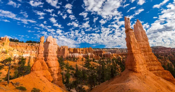 Bryce Canyon landscape, under warm sunrise light — Stock Photo, Image