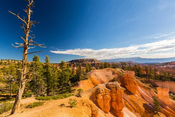 Bryce Canyon paisagem, sob a luz quente do nascer do sol — Fotografia de Stock