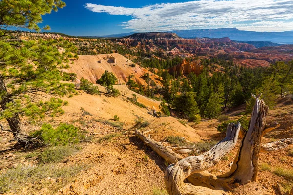 Bryce Canyon peyzaj, sıcak gündoğumu ışık altında