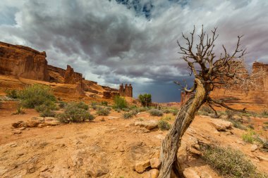 Gün batımında Arizona Çölü'nde dramatik fırtına bulutları