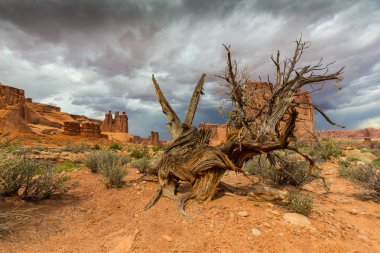 Gün batımında Arizona Çölü'nde dramatik fırtına bulutları