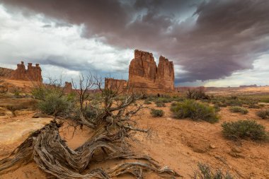 Gün batımında Arizona Çölü'nde dramatik fırtına bulutları