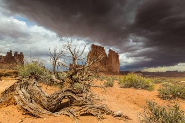 Gün batımında Arizona Çölü'nde dramatik fırtına bulutları