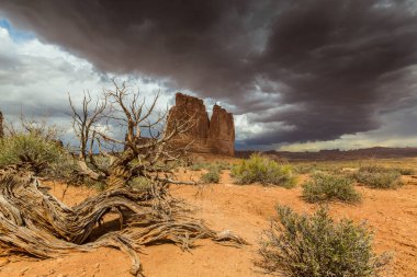 Gün batımında Arizona Çölü'nde dramatik fırtına bulutları