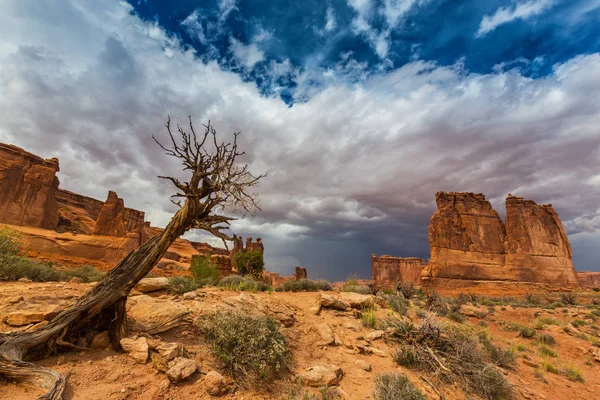 Gün batımında Arizona Çölü'nde dramatik fırtına bulutları