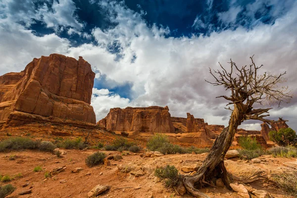 Gün batımında Arizona Çölü'nde dramatik fırtına bulutları