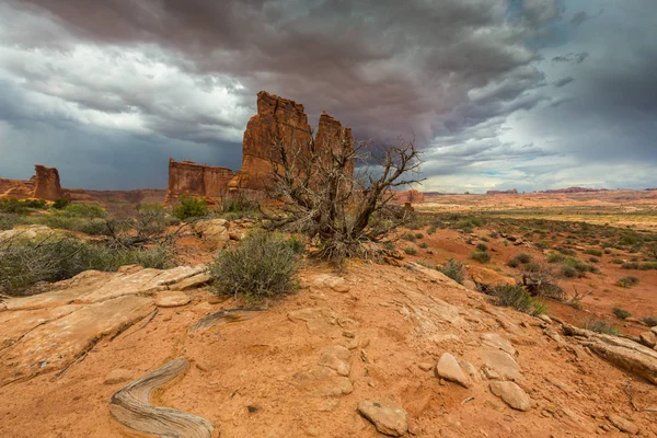 Dramatische Gewitterwolken in der Wüste Arizona, bei Sonnenuntergang — Stockfoto