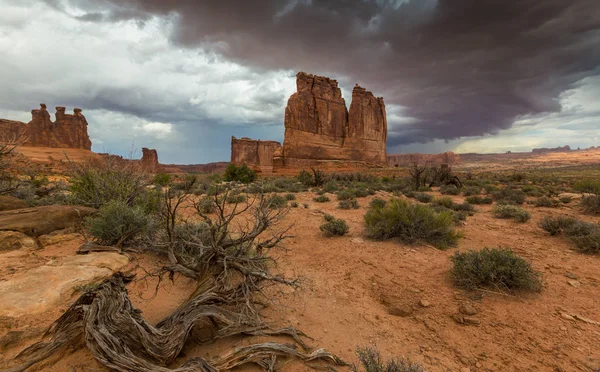 Gün batımında Arizona Çölü'nde dramatik fırtına bulutları