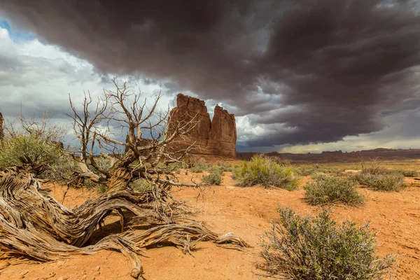 Nuvens de tempestade dramáticas no deserto do Arizona, ao pôr-do-sol — Fotografia de Stock