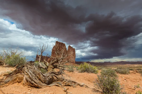Gün batımında Arizona Çölü'nde dramatik fırtına bulutları