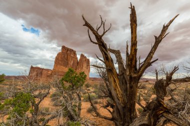 Fırtına cennet ve yağmur Arches National Park