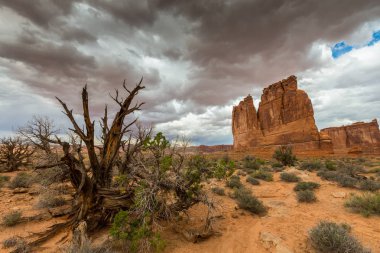 Fırtına cennet ve yağmur Arches National Park