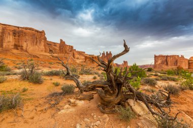 Fırtına cennet ve yağmur Arches National Park