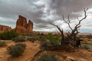 Fırtına cennet ve yağmur Arches National Park