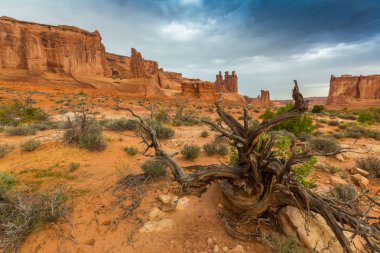 Fırtına cennet ve yağmur Arches National Park