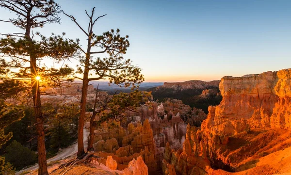 Sunrise landskapet i Bryce Canyon, Utah — Stockfoto