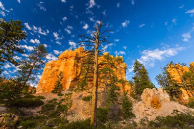 Beautiful scenery in Bryce Canyon, Utah clipart