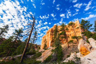 Bryce Canyon, Utah güzel sahne