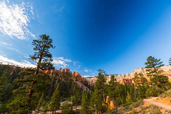 Mooi landschap in Bryce Canyon (Utah) — Stockfoto