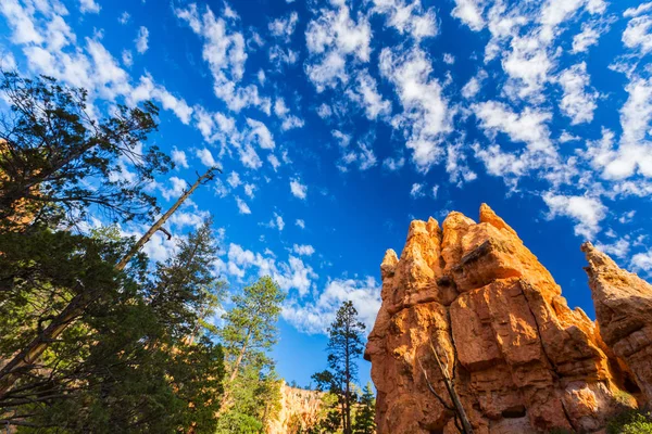Hermosos paisajes en Bryce Canyon, Utah — Foto de Stock