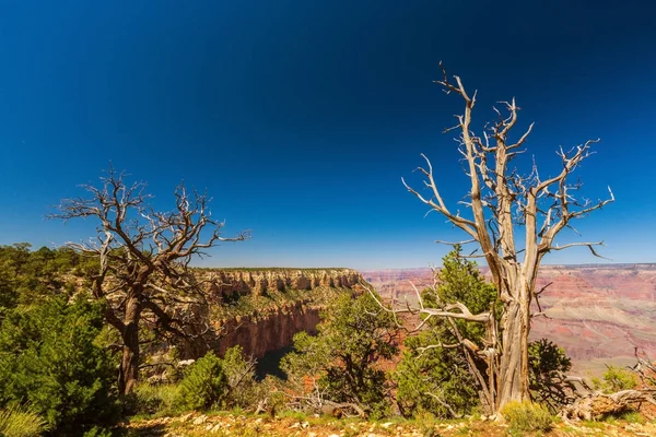 Büyük Kanyon, Arizona, sahne, parlak bir sonbahar gününde — Stok fotoğraf