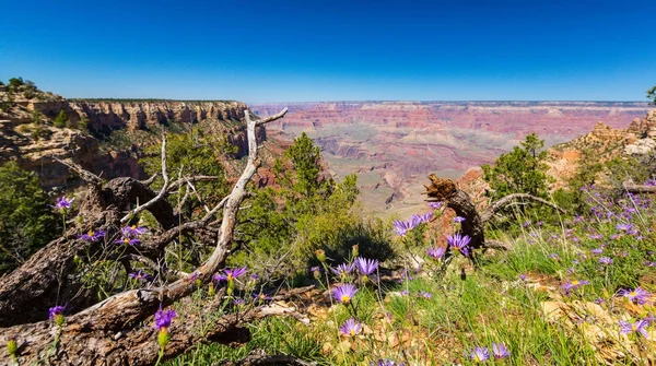 Grand Canyon, Arizona, paysage, par un jour d'automne lumineux — Photo