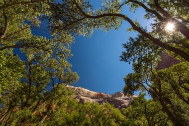 Zion National Park, Utah güzel sahne