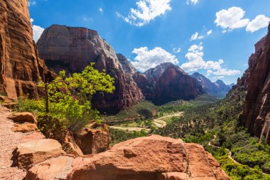 Zion National Park, Utah güzel sahne