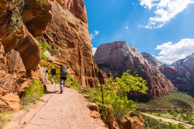 Zion National Park, Utah güzel sahne