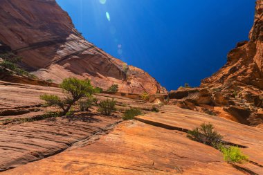 Zion National Park, Utah güzel sahne