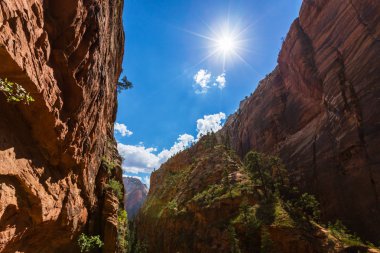Zion National Park, Utah güzel sahne