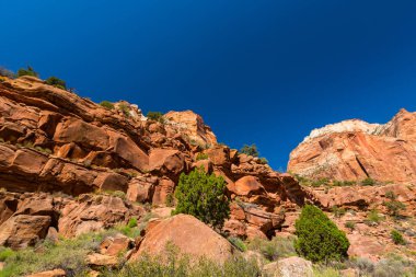 Zion National Park, ABD, parlak sahne güz